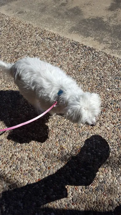 Palm to Paws Picture 5