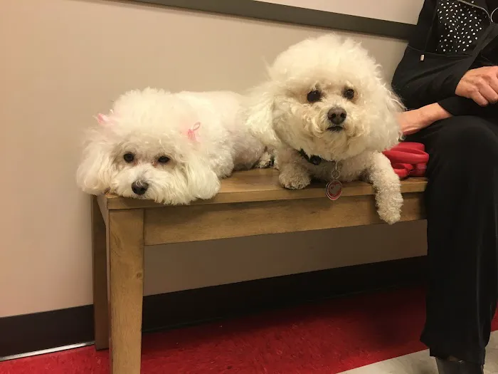 Tanglewood Animal Hospital Picture 1