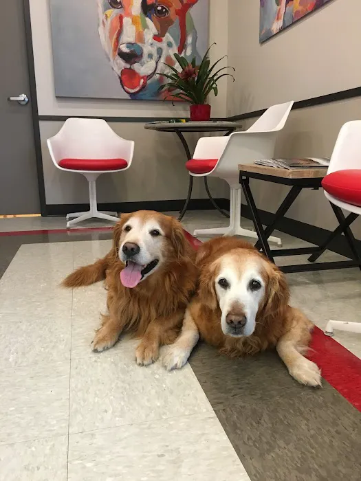 Tanglewood Animal Hospital Picture 2