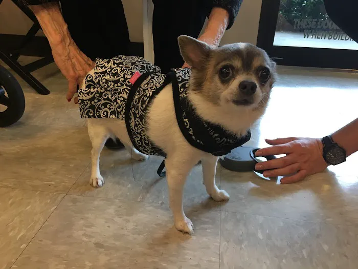Tanglewood Animal Hospital Picture 7