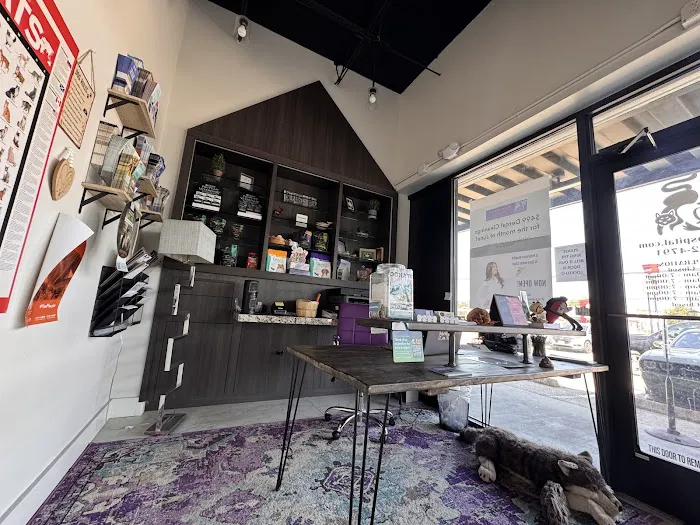 Q Veterinary Hospital Galleria Picture 5