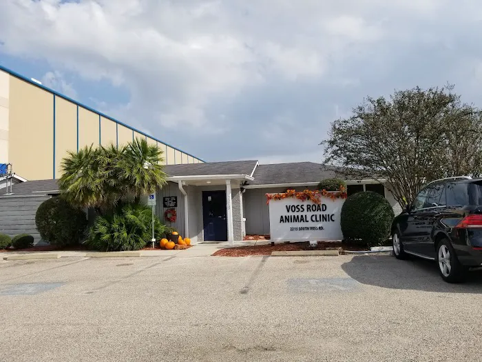 Voss Road Animal Clinic Picture 3
