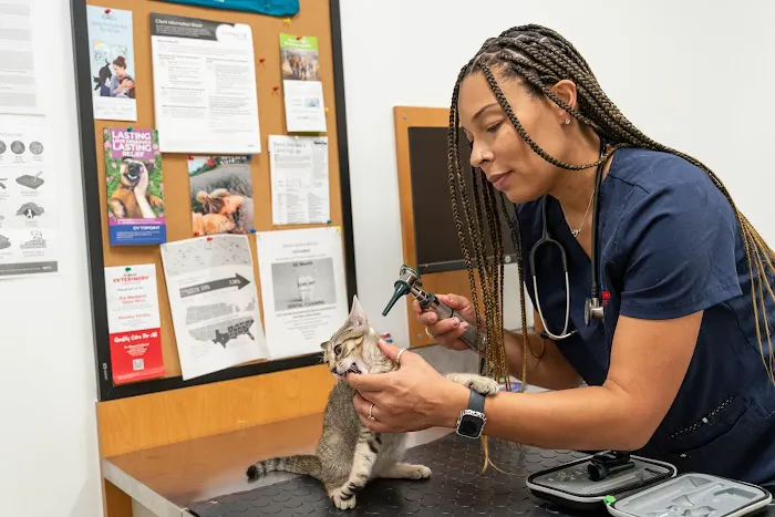 PetSmart Veterinary Services - Westheimer (Dunvale) Picture 6