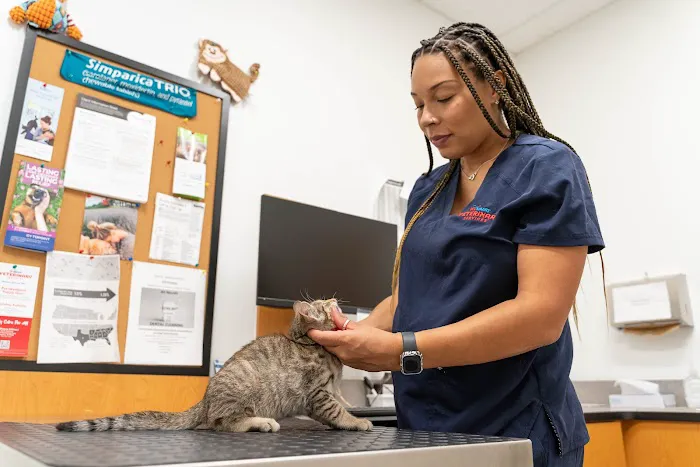 PetSmart Veterinary Services - Westheimer (Dunvale) Picture 1