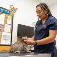 PetSmart Veterinary Services - Westheimer (Dunvale) ico