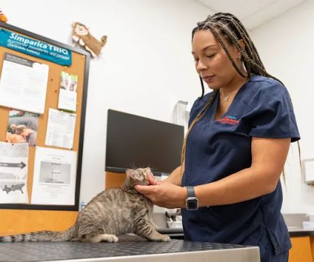 PetSmart Veterinary Services - Westheimer (Dunvale)