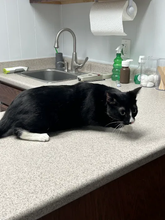 Fondren Animal Hospital Picture 2