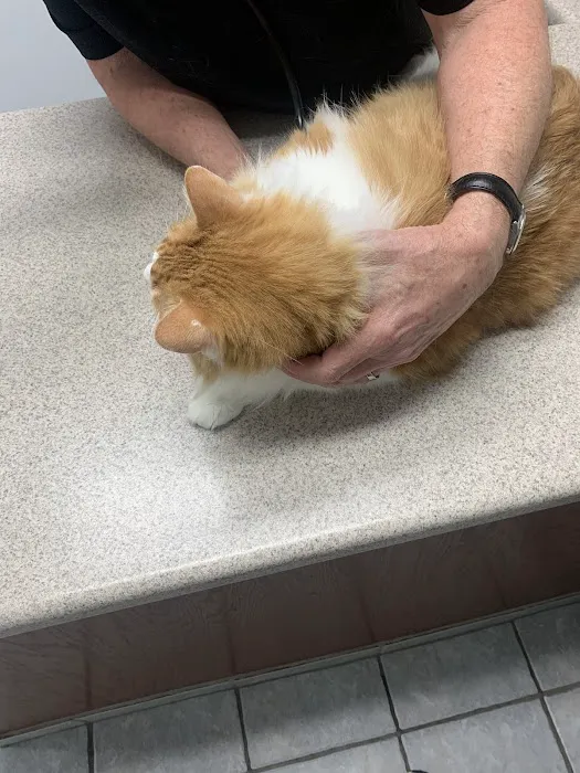 Fondren Animal Hospital Picture 5