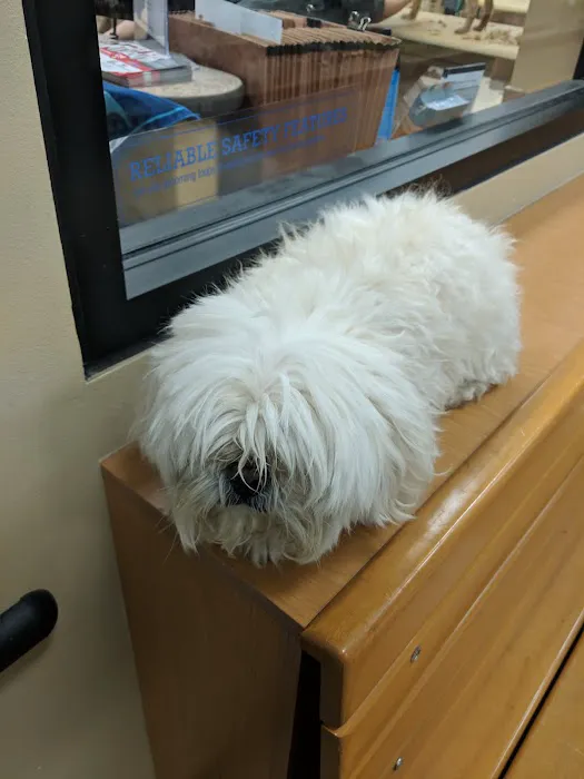 Banfield Pet Hospital Picture 7