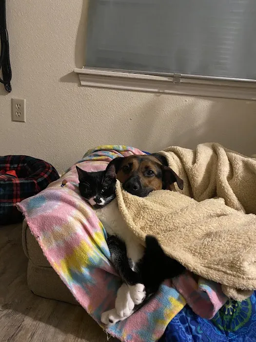 Banfield Pet Hospital Picture 1