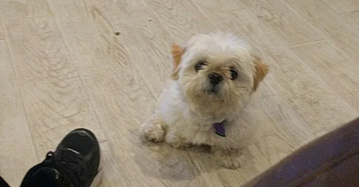Banfield Pet Hospital Picture 3
