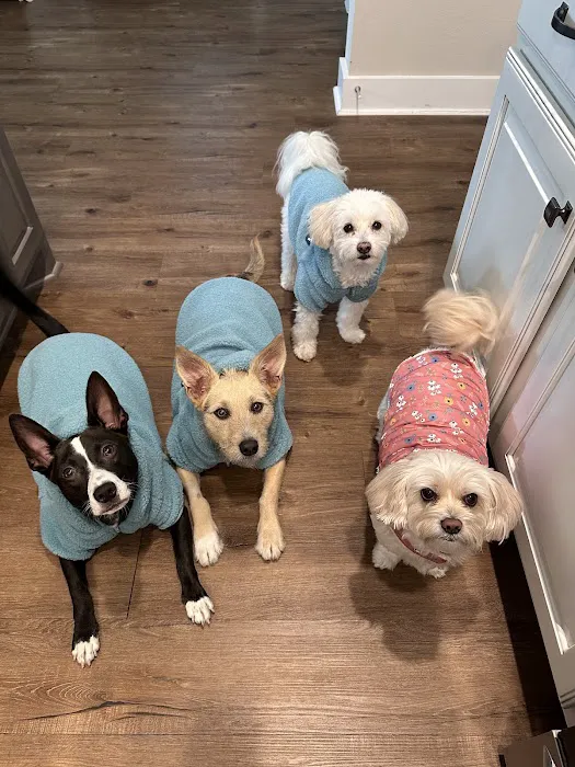 Banfield Pet Hospital Picture 2