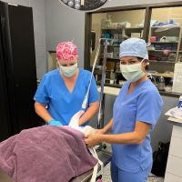 H-Town Veterinary Specialists (Spring Branch) ico