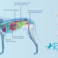 Replenish Pet Chiropractic and All natural dog products ico