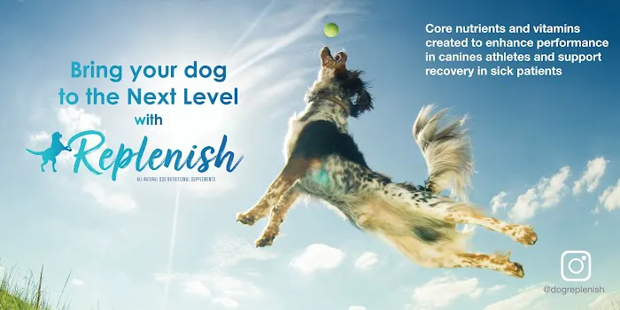 Replenish Pet Chiropractic and All natural dog products Picture 6