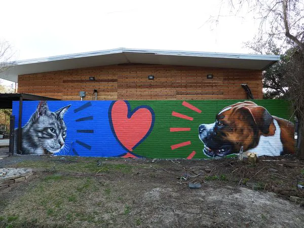 Memorial Villages Animal Hospital Picture 4