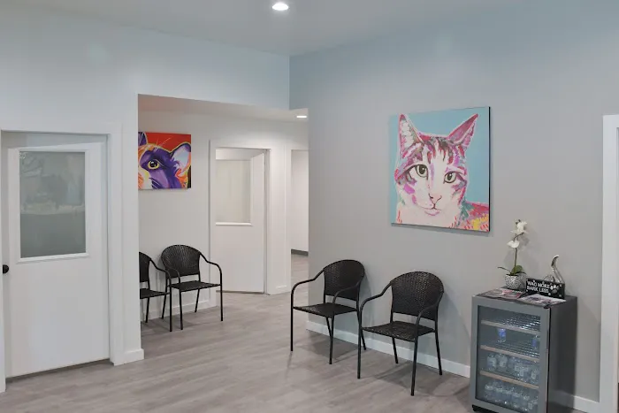 Memorial Villages Animal Hospital Picture 3
