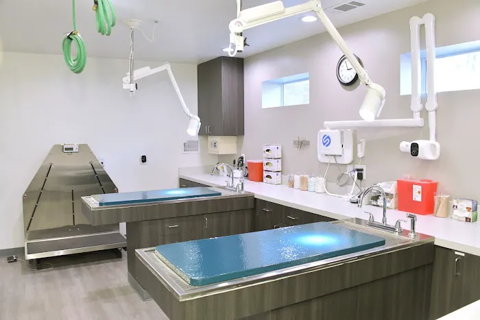 Memorial Villages Animal Hospital Picture 5