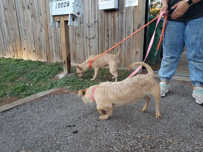610 Pet Lodge Picture 1