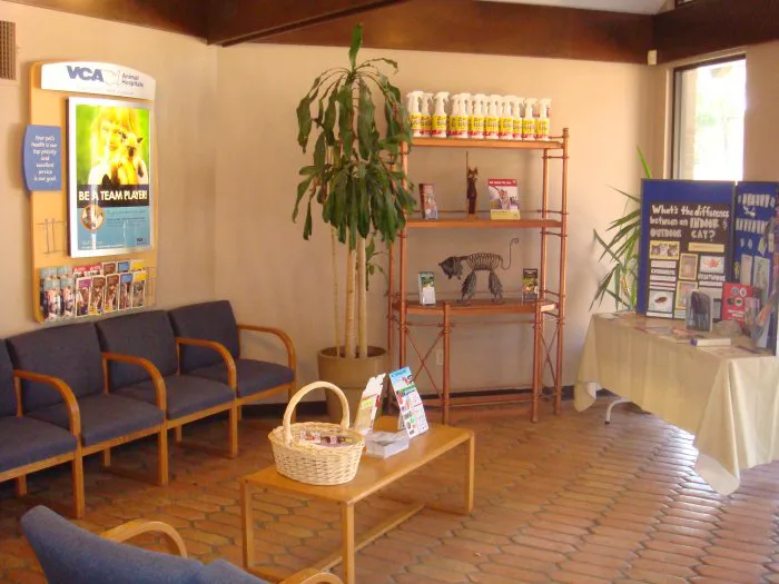 VCA Spring Branch Animal Hospital Picture 8