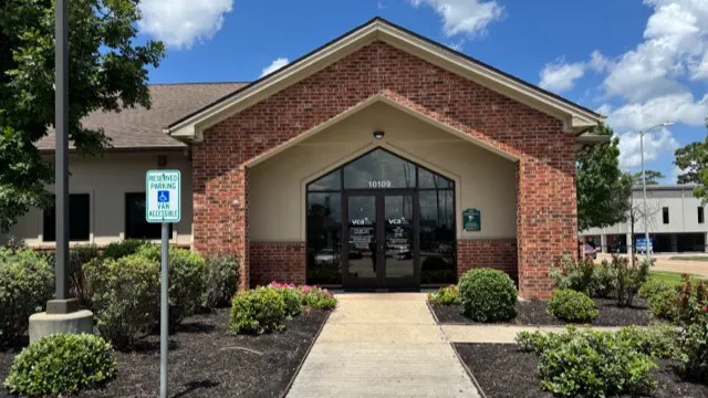 VCA Spring Branch Animal Hospital Picture 1