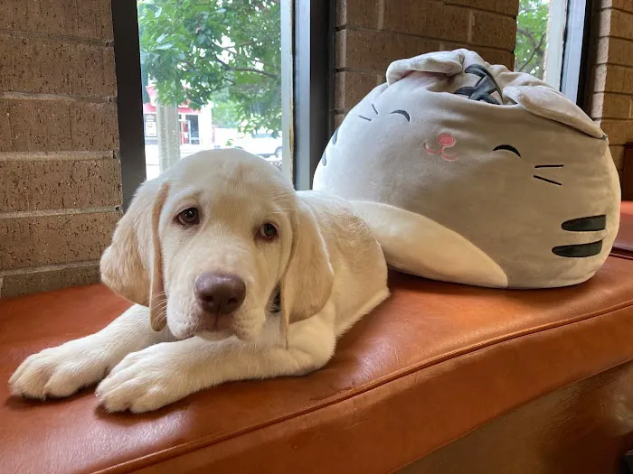 Baxter and Cleo Veterinary Clinic Picture 3