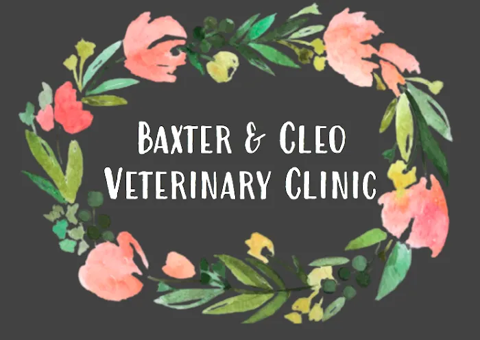Baxter and Cleo Veterinary Clinic Picture 7
