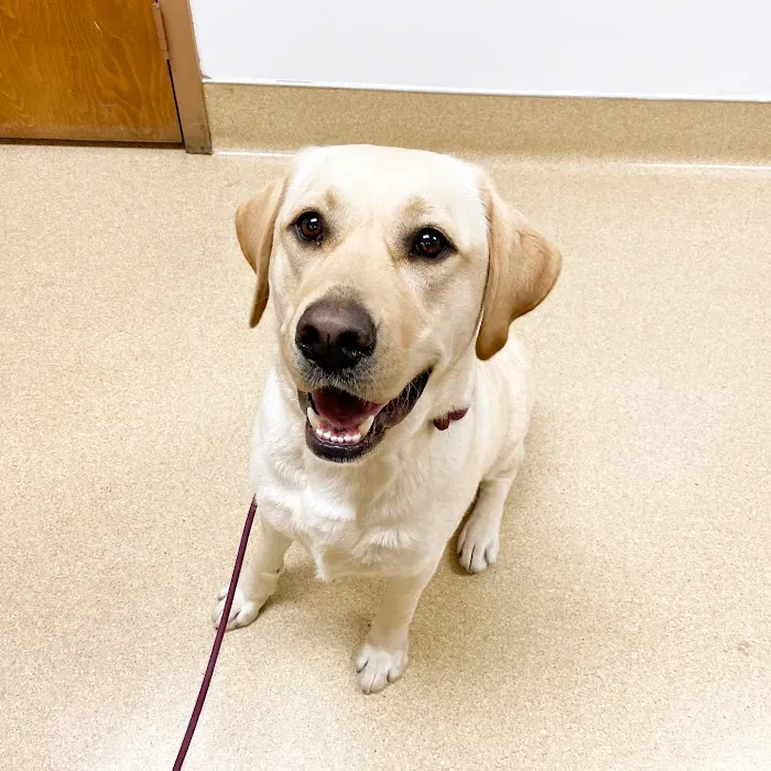 Baxter and Cleo Veterinary Clinic Picture 4