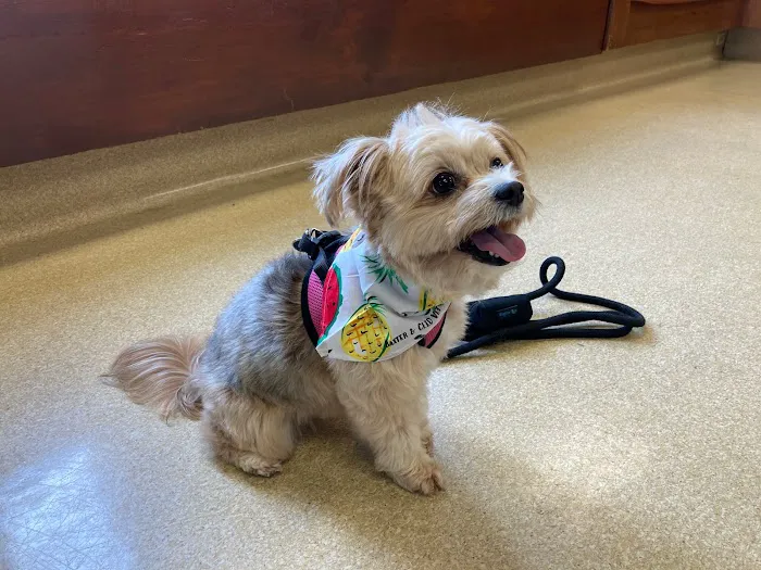 Baxter and Cleo Veterinary Clinic Picture 10