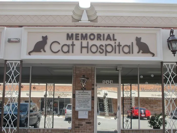 Memorial Cat Hospital Picture 1