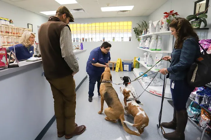 Tanglewilde Veterinary Clinic Picture 6