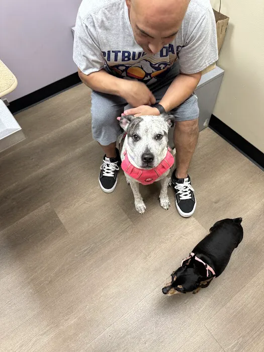 Tanglewilde Veterinary Clinic Picture 5