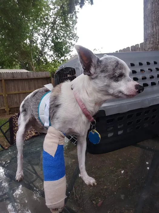 Woodlake Pet Hospital Picture 5