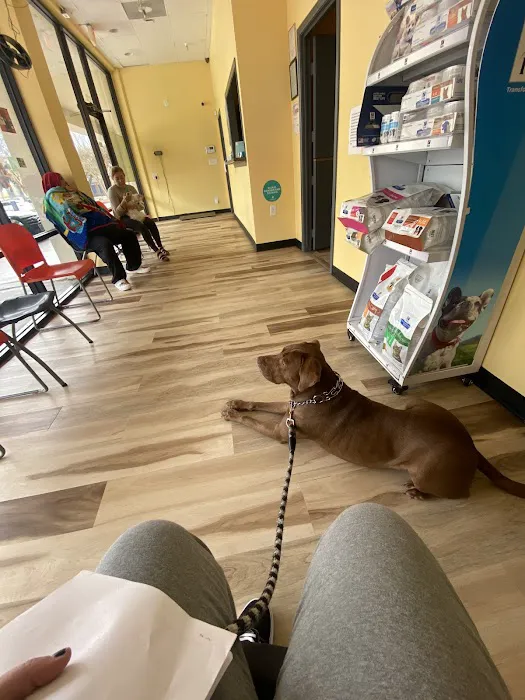Woodlake Pet Hospital Picture 9