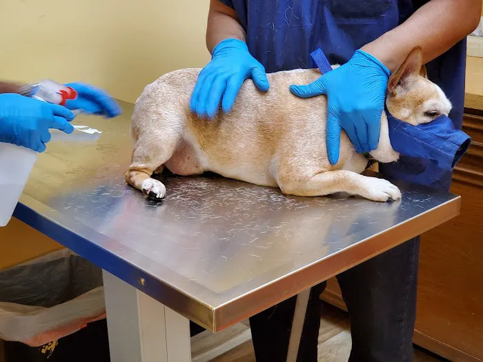 Woodlake Pet Hospital Picture 7