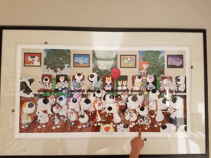 Neighborhood Veterinary Centers - South Post Oak Picture 6