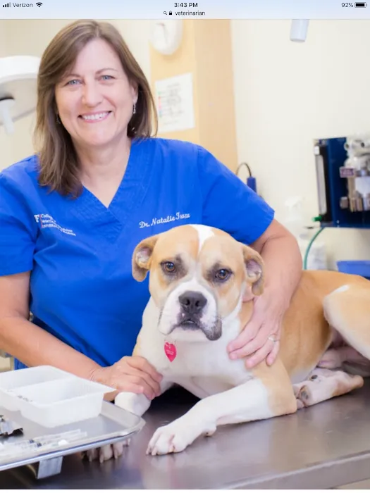 Neighborhood Veterinary Centers - South Post Oak Picture 8