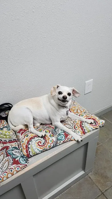 Veterans Memorial Drive Animal Hospital Picture 3
