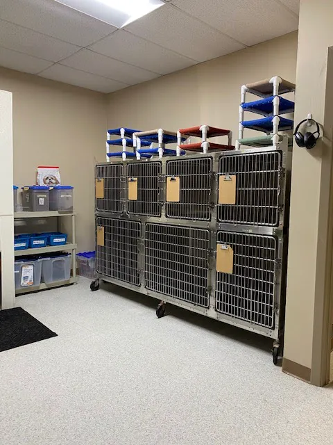 Kleinbrook Animal Hospital Picture 6