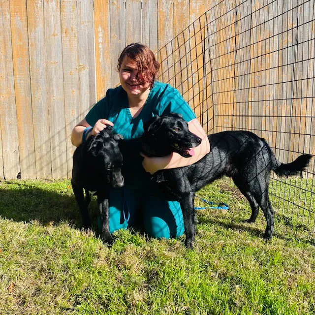 Kleinbrook Animal Hospital Picture 10