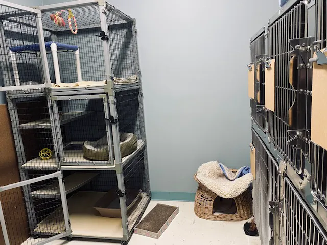 Kleinbrook Animal Hospital Picture 4