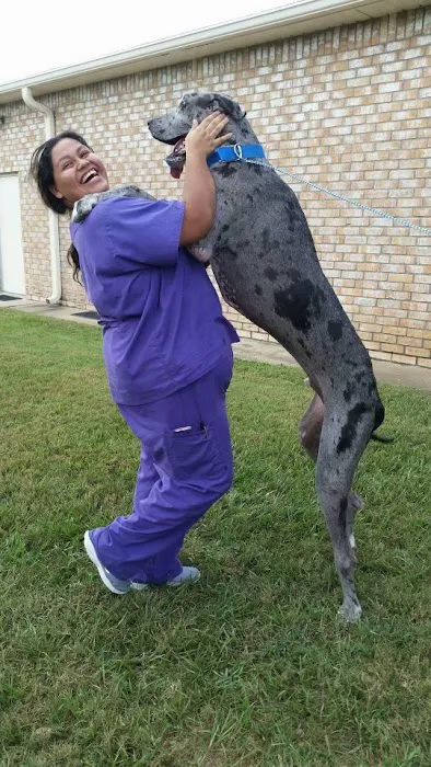 Kleinbrook Animal Hospital Picture 1