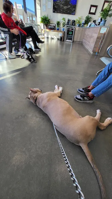Canyon Lakes Veterinary Clinic Picture 9