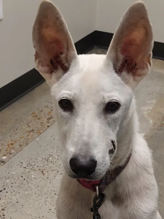 Canyon Lakes Veterinary Clinic Picture 7