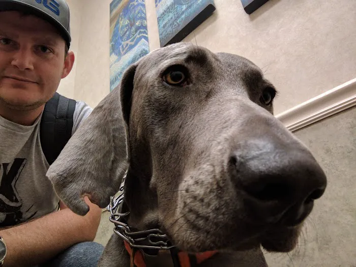 Coastal Veterinary Dermatology & Ear Clinic Picture 10