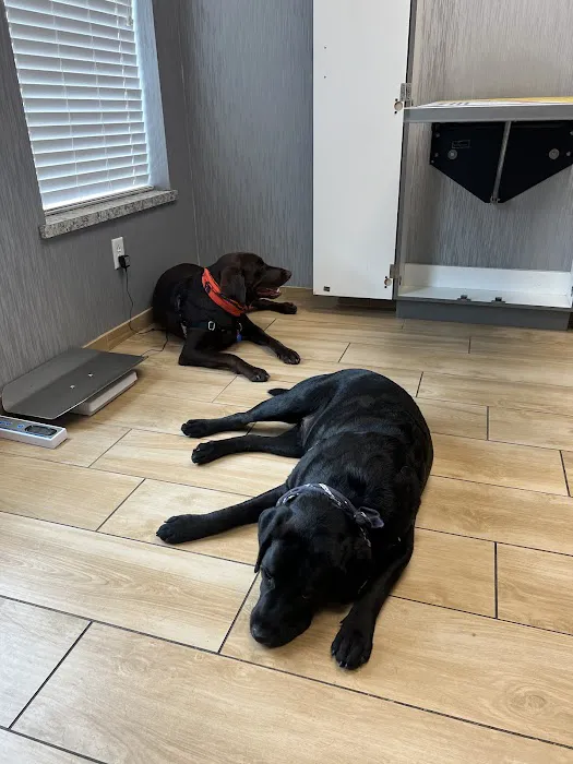 Red Bluff Animal Hospital Picture 1