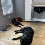 Red Bluff Animal Hospital