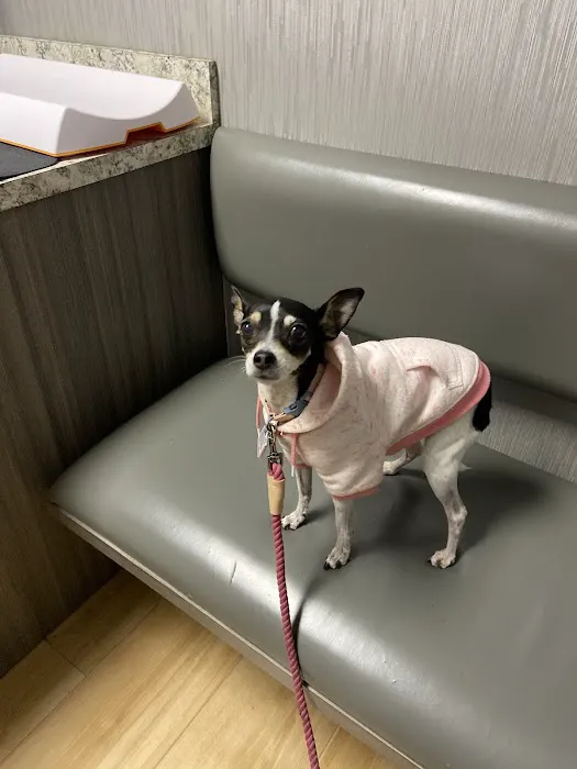 Red Bluff Animal Hospital Picture 4