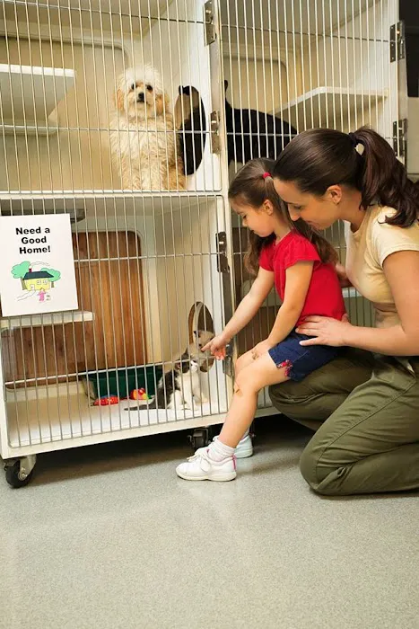 Spencer Animal Hospital Picture 4
