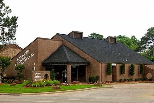 Spencer Animal Hospital Picture 8